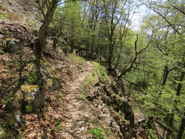 über einen schönen Wanderweg geht es nun steil abwärts