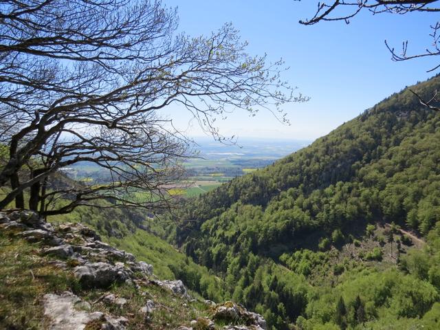 rechts blicken wir in die tiefe Schlucht von Gorges de Covatanne