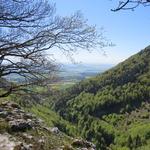 rechts blicken wir in die tiefe Schlucht von Gorges de Covatanne