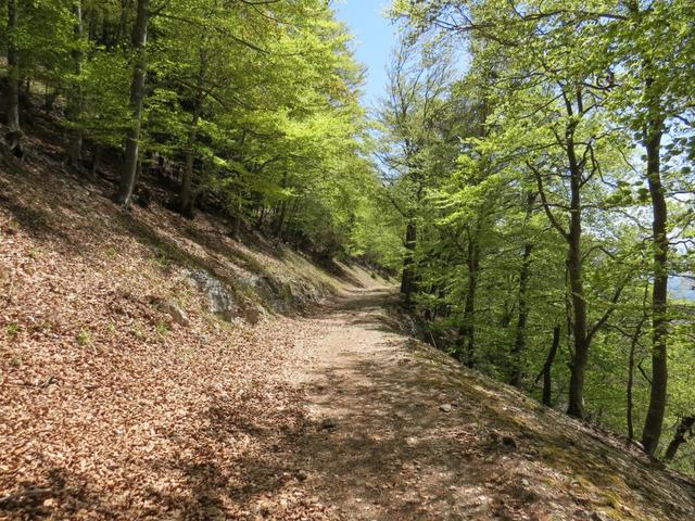 der Waldweg wird nun breiter und wir erreichen bald eine Historisch wichtige Stelle