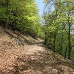 der Waldweg wird nun breiter und wir erreichen bald eine Historisch wichtige Stelle