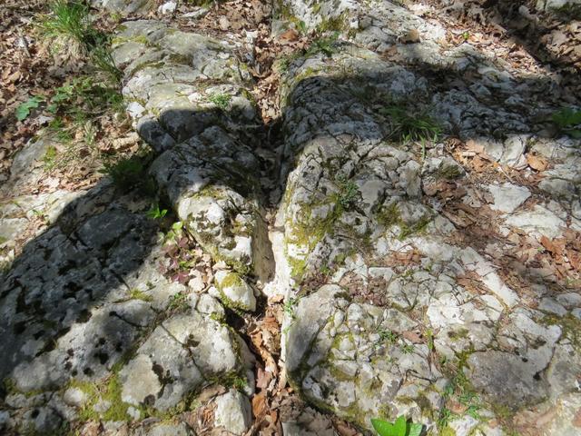 über die Via Salina wurde das Salz aus dem französischen Jura in die Schweiz gebracht