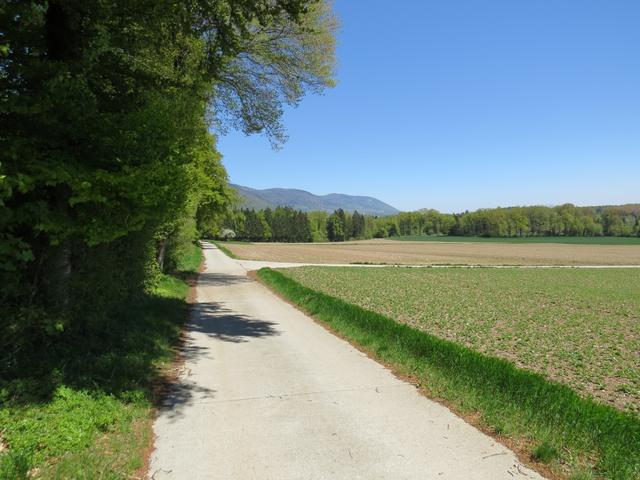 wir verlassen Vuiteboeuf und wandern über Feldwege weiter. Keine Markierungen der Via Francigena vorhanden