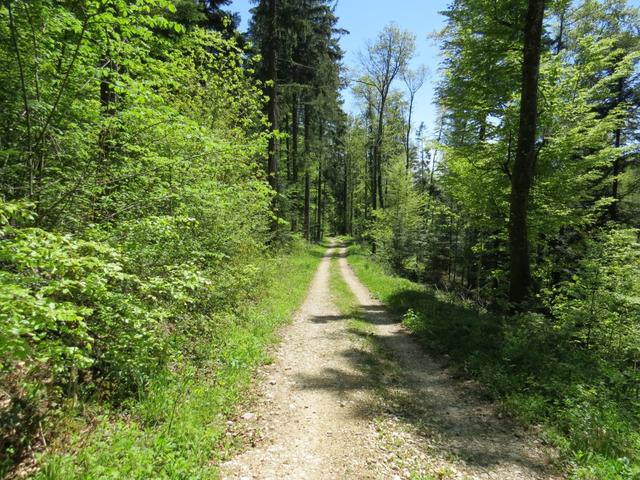 keine Via Francigena Symbole vorhanden, nur gelbe Wanderzeichen