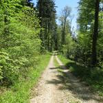 keine Via Francigena Symbole vorhanden, nur gelbe Wanderzeichen