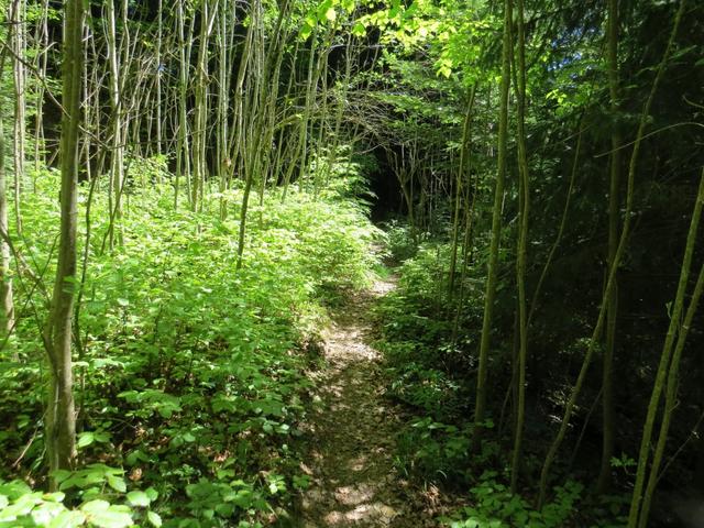 eine gute Wanderkarte und ein GPS Gerät helfen uns, das wir uns nicht verlaufen