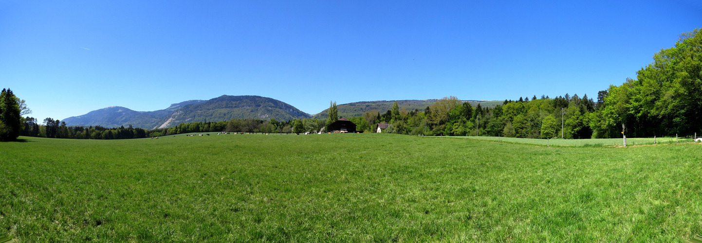 schönes Breitbildfoto aufgenommen in Mornens mit Blick zu den Hügel von Ste-Croix