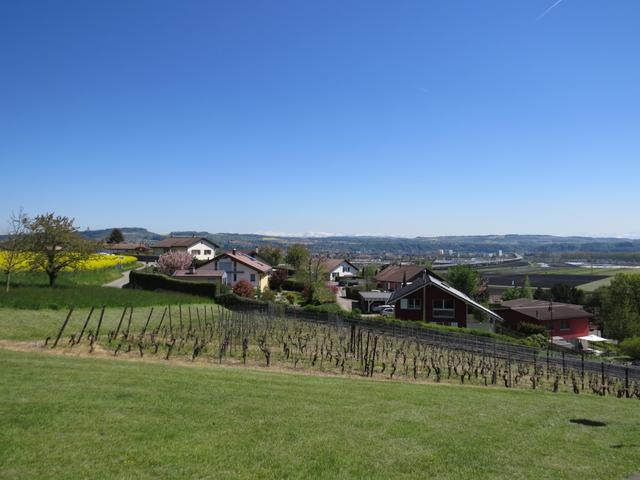 Blick von der Kapelle aus, Richtung Yverdon