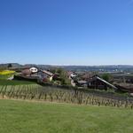 Blick von der Kapelle aus, Richtung Yverdon