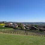 Blick von der Kapelle aus, Richtung Yverdon