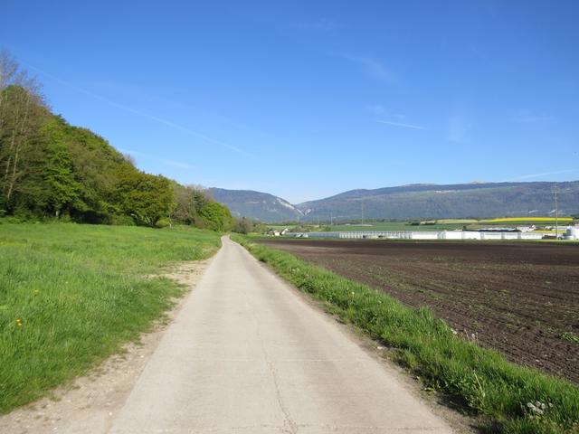 wir lassen Les Uttins links liegen, und laufen auf der Teerstrasse weiter geradeaus