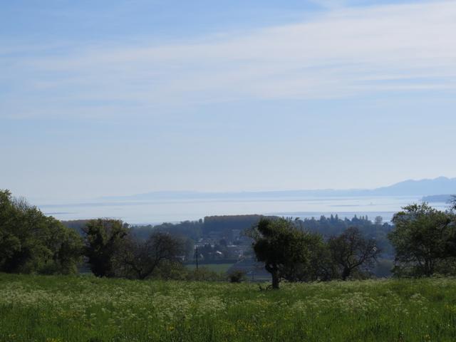Blick von Chamblon hinunter Richtung Yverdon und Lac de Neuchâtel