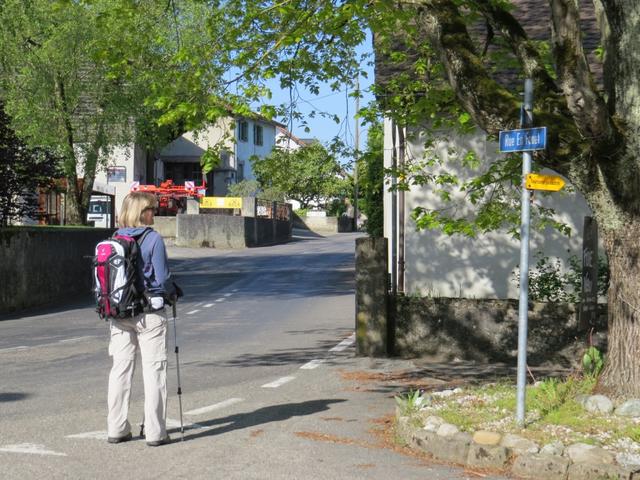 meine Maus erkundigt sich wo die Via Francigena weiterführt, oft kein einfaches Unterfangen