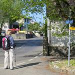 meine Maus erkundigt sich wo die Via Francigena weiterführt, oft kein einfaches Unterfangen