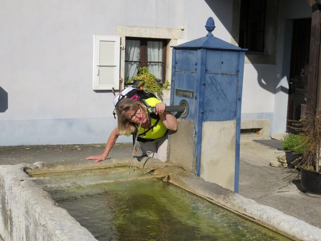 beim Dorfbrunnen löscht meine Maus den Durst