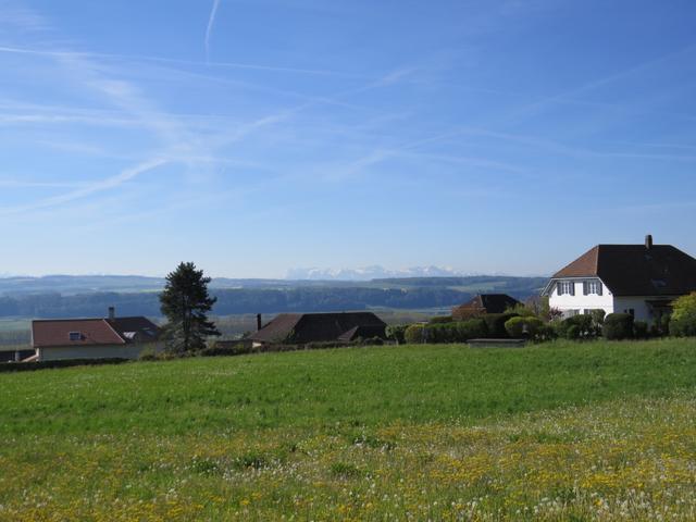 sehr schöne Aussicht von Chamblon auf die Ebene und die noch schneebedeckten Berge