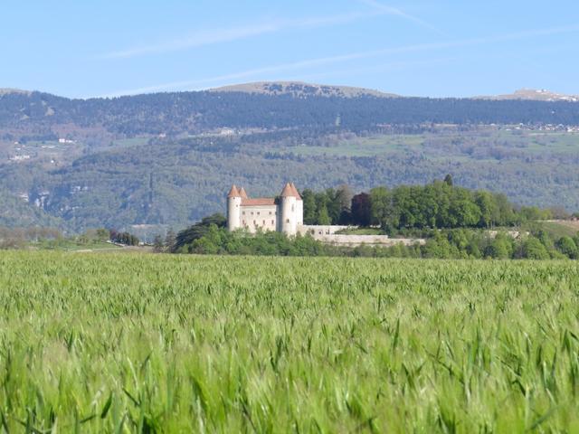 Blick zum Schloss bei Mathod