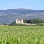 Blick zum Schloss bei Mathod