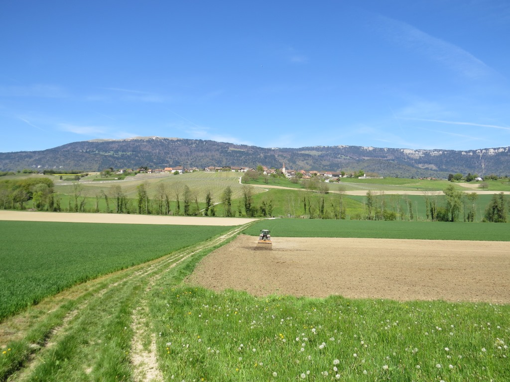 Blick zurück Richtung Rances