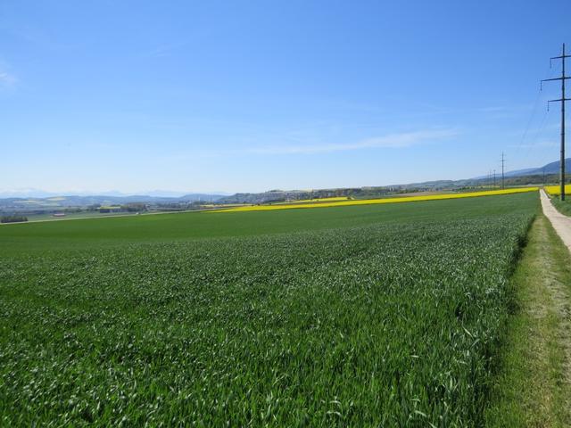 am Horizont taucht Orbe auf