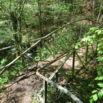 ein romantischer Wanderweg führt uns nun alles der L'Orbe entlang