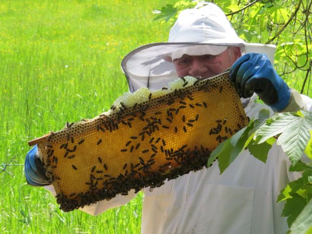 der Mann erklärte uns, das er bis jetzt mit der Bienenarbeit sehr zufrieden ist