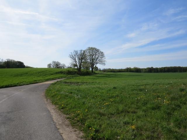 zuerst über eine Teerstrasse....