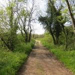 ... danach über Wald- und Wiesenwege geht es Richtung La Sarraz