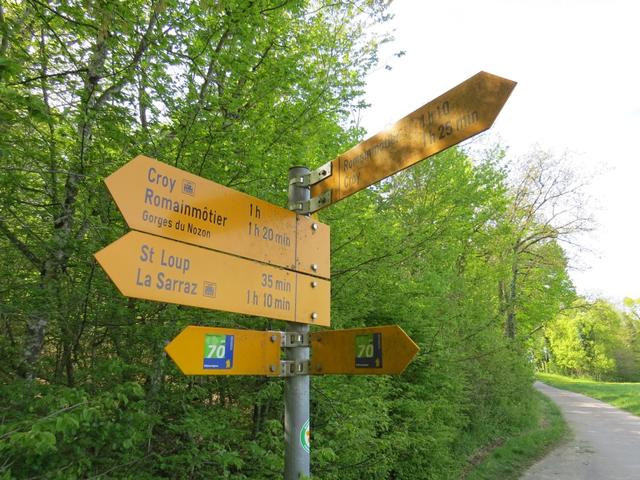 hier sind die Via Francigena Zeichen falsch gesetzt. Der Weg geht nach rechts und nicht nach links