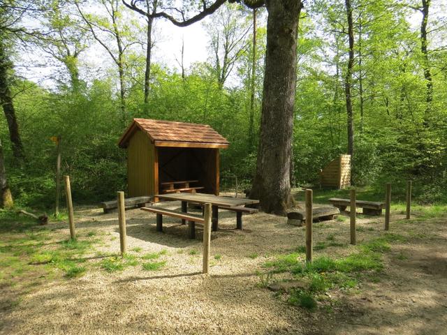 vorbei an einer schönen Grillstelle mitten im Wald...