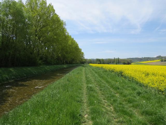 zuerst verläuft die Via Francigena rechts am Kanal entlang...