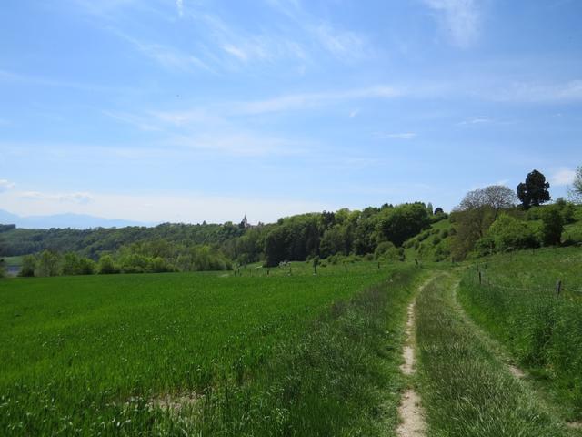 bei Lussery 494 m.ü.M. verlassen wir den Kanal der La Venoge und laufen weiter Richtung Cossonay