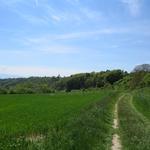 bei Lussery 494 m.ü.M. verlassen wir den Kanal der La Venoge und laufen weiter Richtung Cossonay