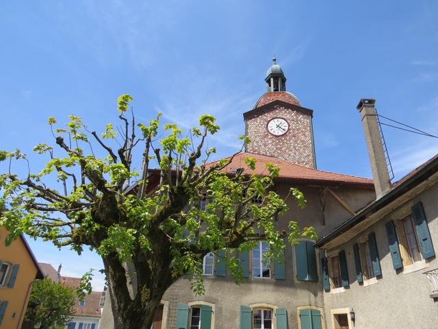 wir erreichen Cossonay mit seiner schönen kleinen Altstadt 562 m.ü.M.