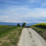 am Horizont ist schwach, der Genfersee ersichtlich