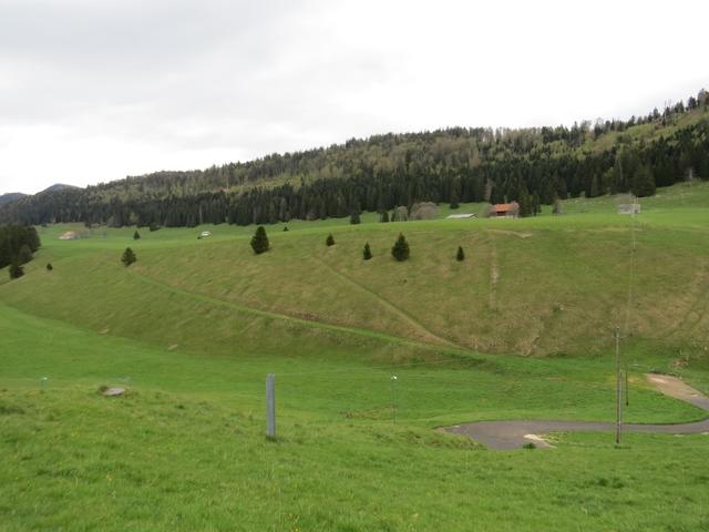 nach dieser kurzen Pause laufen wir weiter zur Bergkette Mont des Cerf