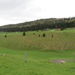 nach dieser kurzen Pause laufen wir weiter zur Bergkette Mont des Cerf