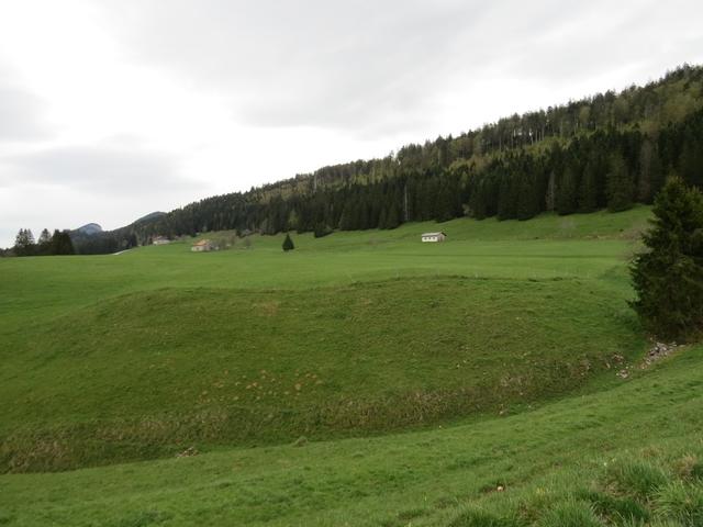 alles über Kuhweiden führt uns nun der Pilgerweg zum kleinen Übergang Col des Etroits