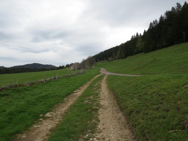 der Weg steigt nun leicht an