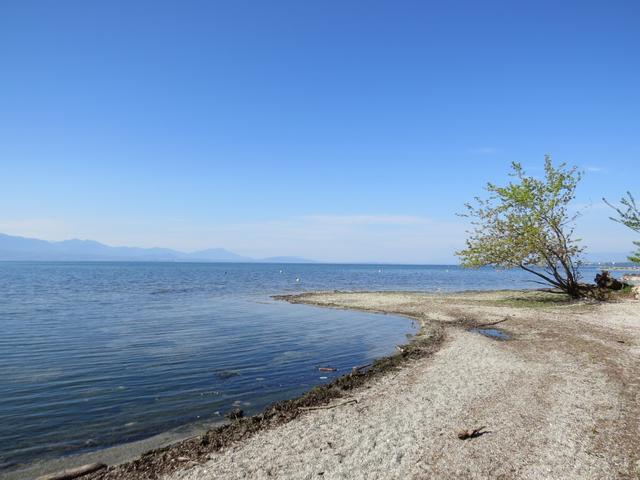 schönes Breitbildfoto vom Genfersee