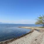 schönes Breitbildfoto vom Genfersee