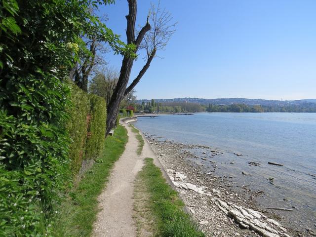 die Via Francigena führt meistens direkt am Genfersee entlang