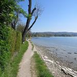 die Via Francigena führt meistens direkt am Genfersee entlang