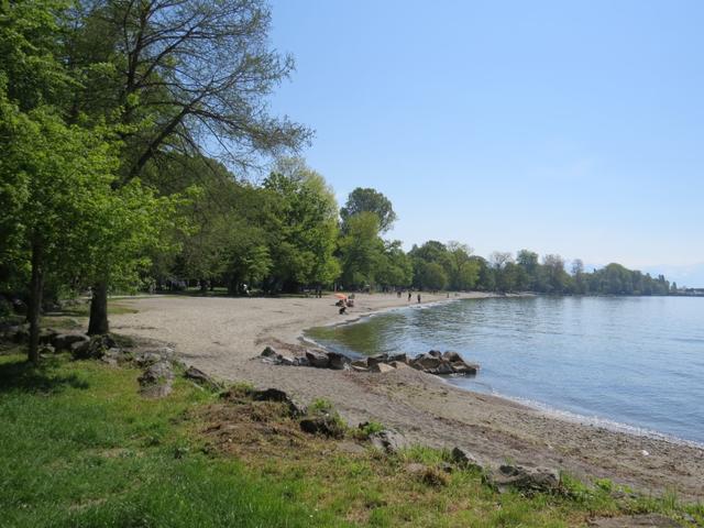 der schöne Badestrand bei Vidy 374 m.ü.M., kurz vor Lausanne