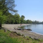 der schöne Badestrand bei Vidy 374 m.ü.M., kurz vor Lausanne