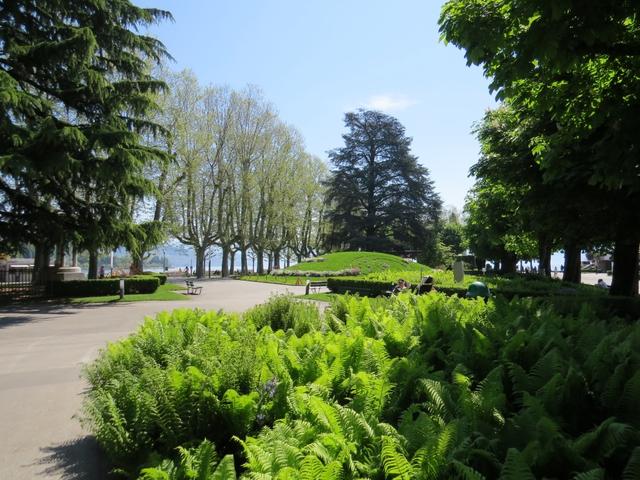 zurück in Lausanne-Ouchy geht die Reise auf der Via Francigena weiter