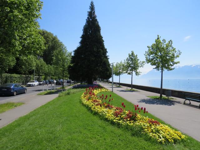 weiter an der sehr schönen Promenade entlang, geht es Richtung Pully