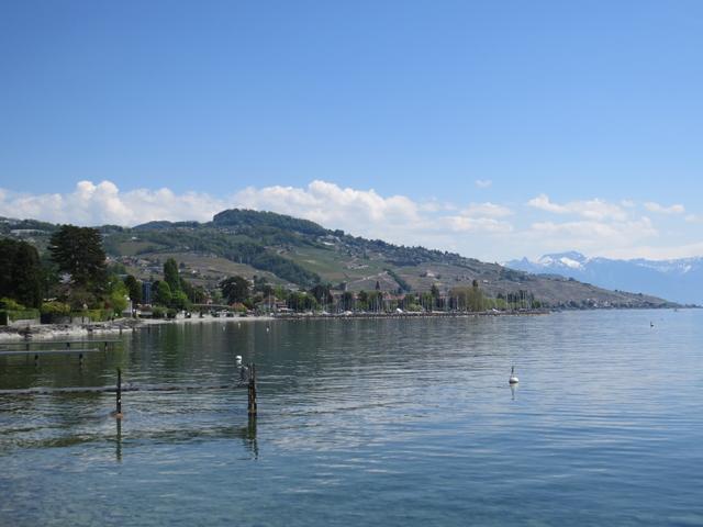 vor uns taucht das Lavaux auf