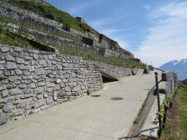 das Weinbaugebiet erstreckt sich zwischen Lausanne und Vevey auf über 805 Hektaren...