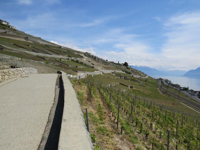 im Westen grenzt das Lavaux an das Weinbaugebiet La Côte, im Osten an das Weinbaugebiet Chablais